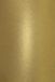 Netuno Aster Metallic Rustic Gold Papier - Goud Metallic - A4 - 300 gram - 20 vellen