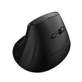 Ewent EW3208 Muis Universeel Rechtshandig RF-draadloos + Bluetooth Optisch 4000 DPI Zwart