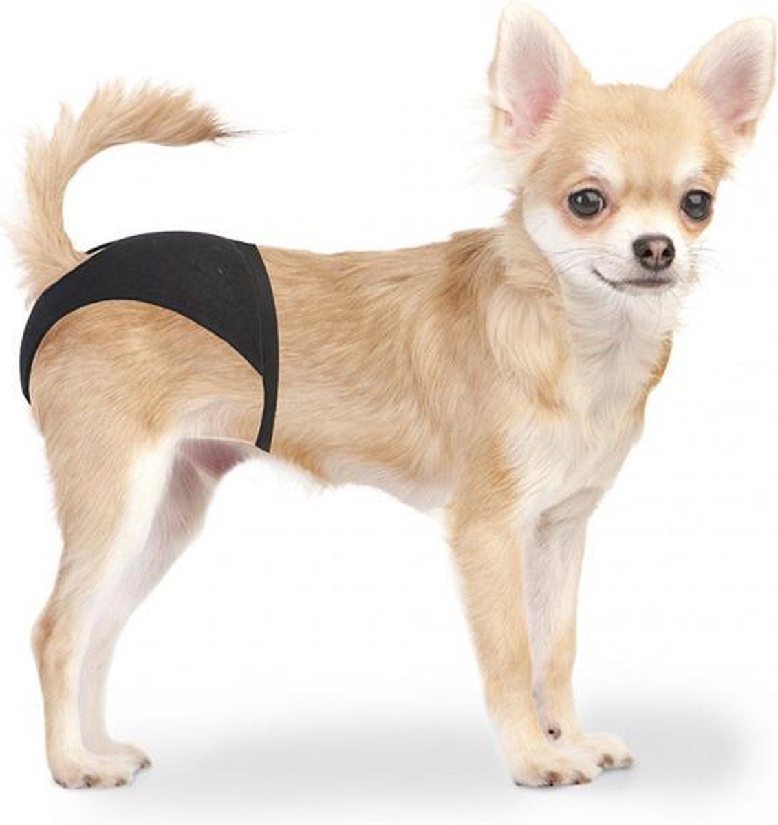 Duvo+ Honden Loopsheidbroekje XS - Zwart