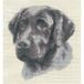 PANNA Zwarte Labrador Cross Stitch Kit, 17,5 x 23,5 cm