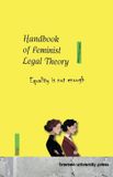 Handbook Bremen University Press Handbook of Feminist Legal Theory Paperback