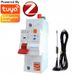 RTX Instelbare beveiligingsschakelaar 2-63A, ZigBee, Tuya # Energieverbruiksmeter