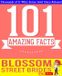 GWhizBooks.com - Blossom Street Brides - 101 Amazing Facts You Didn't Know