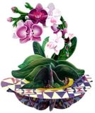 Mourik Wenskaart - Pirouettes 3D - SPS099 - Orchid