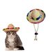 AWOCAN Huisdier strohoed grappige Mexicaanse sombrero pet feestdecoraties voor verjaardag voor kleine huisdieren, puppy, kat