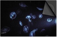 Dietrix Inductie Beschermer - 71x52 cm - Under the Sea - Kwallen Blauw