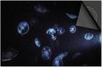 Dietrix Inductie Beschermer - 71x52 cm - Under the Sea - Kwallen Blauw