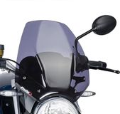 Puig Carenabris New Generation Sport Bmw R1200r Voorruit Grijs