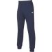Mizuno Jogging Team