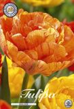 Dutch Flower Lady Sunlover Dubbel Laat Tulpenbollen 10 stuks Bolmaat 12+