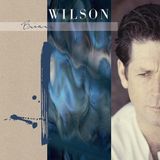 Bertus Distributie Brian Wilson - Brian Wilson (LP)