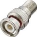 Renkforce RF-4197108 adaptateur BNC/satellite