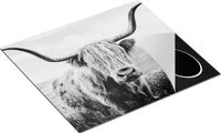 Chefcare Inductie Beschermer Schotse Hooglander Koe in de Wei - Zwart Wit - 57,6x51,6 cm