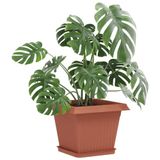 vidaXL - Plantenpotten - 24 stuks - Baksteenrood - 28,5 x 28,5 x 22 cm - Kunststof