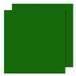 Ansichtkaart Canson Iris Ansichtkaart 240 g 25 vellen 50 x 65 cm dennengroen