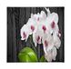 Homemania Muurfoto, bloemen, natuur, voor woonkamer, slaapkamer, meerkleurig, 60 x 3 x 60 cm, HM20KNV60 x 60 – 194, polyester, hout