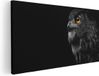 Artaza Canvas Schilderij Zwarte Uil Met Gouden Ogen - 80x40 cm - Canvas Print