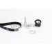 Continental Kit De Courroie Crantée Ct1244k2 Dacia 130c17561r 6089930200