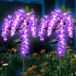 Lanternes solaires, 2 pièces, LED violet, 2 modes, étanche