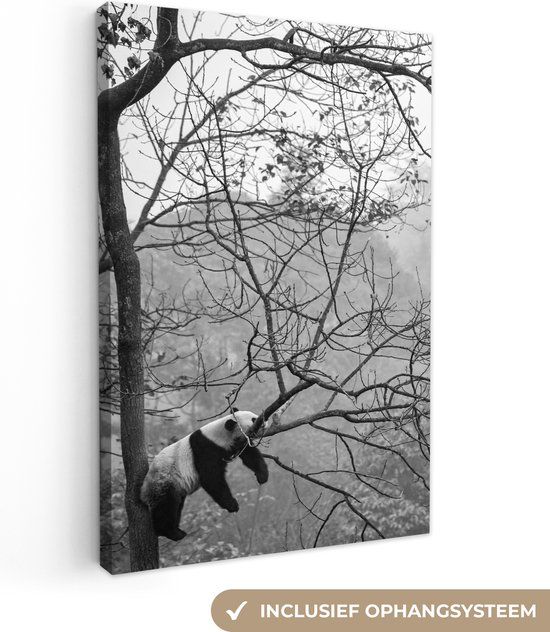 OneMillionCanvasses Canvas schilderij - Panda - Boom - Takken - Mist - 20x30 cm