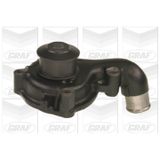 Graf Pompe à Eau, Refroidissement Du Moteur Graf Pa640 Ford 1020988 1023645 1317913