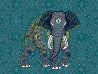 A.S. Création Metropolitan Stories "The Wall" Mandala Elephant Photo Wallpaper | 3.71 x 2.80 meters