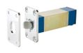 Maasland Icecat Pengrendel ruststroom inbouw 12v-24v dc penstand signalering afgeschuinde pen