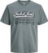 JACK & JONES Jjelogo Tee Ss Oneck 2 Col Aw25 Noos Pls - Plus Size, stormy weather, 4XL
