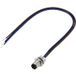 TRU COMPONENTS TC-13751896 Câble de connexion M8 x 1 Nombre de pôles (capteurs) : 3 Connecteur, droit 0,2 m 1 pièce