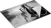 Chefcare Inductie Beschermer Wilde Paarden in het Zand - Zwart Wit - 75x50 cm