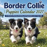 Border Collie Puppies Calendar 2027