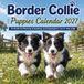 Border Collie Puppies Calendar 2027