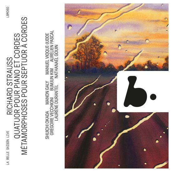 Quatuor B Records Strauss: Piano Quartet, Op. 13 Quatuor Pour Piano Et Cordes (CD)
