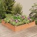 Prolenta Maison Exclusive - Jardinière surélevée avec insert, couleur marron, 120x120x25 cm, en bois massif de sapin