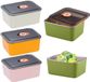 Ibenzoa® Premium set van 4 voorraadbakken van roestvrij staal