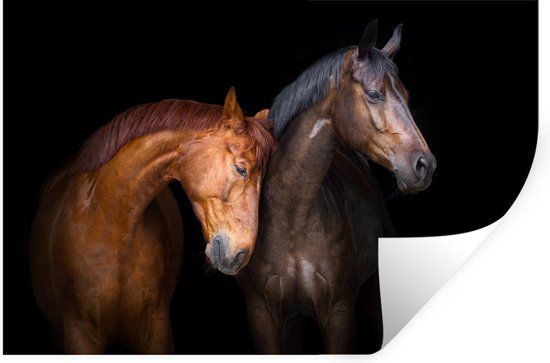 StickerSnake Muursticker kids - Paarden - Bruin - 90x60 cm