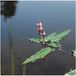 Moerings waterplanten Moerings Polygonum Amphibium | Veenwortel | In 9CM pot