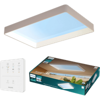 Philips Skylight Daglichtlamp Groot