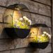 Haushalt International Lampe solaire LED, ampoule LED intégrée, blanc chaud, applique solaire jardinière lampe solaire extérieur décoration de jardin lot de 2