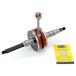 Magneti Marelli Crank shafts magn marelli minarelli horizontal race
