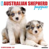 Willow Creek Press Australian Shepherd Puppies 2027 12 X 12 Wall Calendar