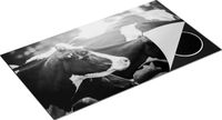Chefcare Inductie Beschermer Zwart Wit Koeien in de Wei met Zon - 95x55 cm