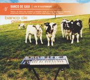 Live Six Degrees Live at Glastonbury CD