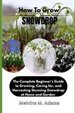 How Bol How to Grow Snowdrop Flower for Beginners