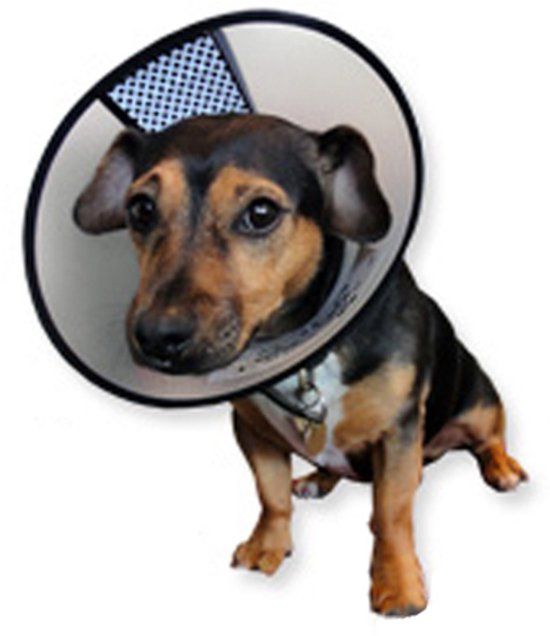 AA-Vet Easyfix-Collar - M