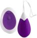 INTENSE COUPLES TOYS Intense Jan Vibrating Egg Remote Deep Purple