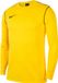 Nike Park 20 Sweater Heren - Geel | Maat: XL