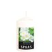 Spaas Geurende cilinderkaars 60/100 mm, ± 25 uur - Spiritual Jasmin