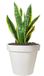 Pro Garden Bloempot - wit - rond - D30 cm - kunststof