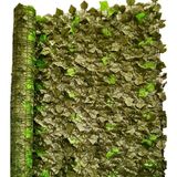 Buitengewoon de Boet Klimop op rol 200x500 cm Kunsthaag